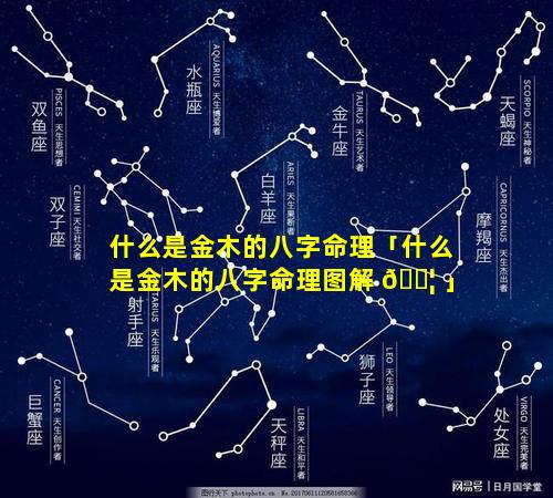 什么是金木的八字命理「什么是金木的八字命理图解 🐦 」